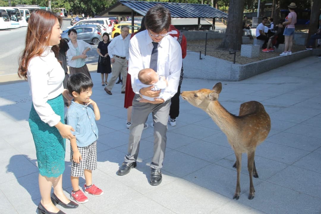 お宮参りの写真