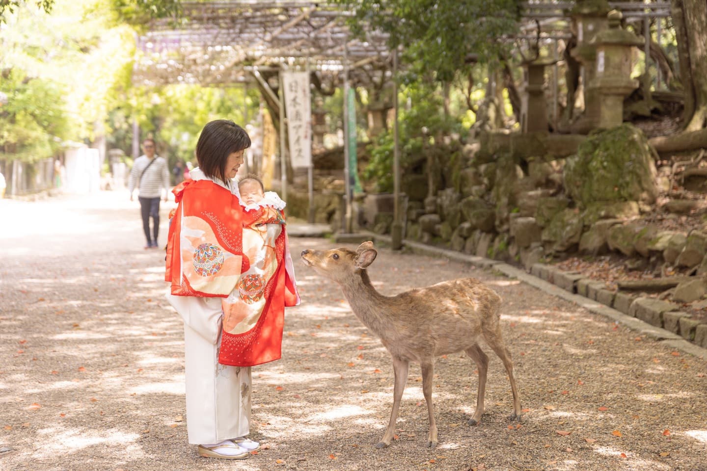 お宮参りの写真