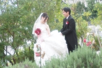 写真だけの結婚式写真