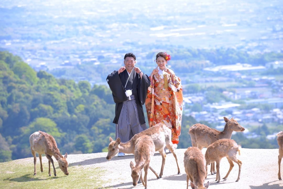 奈良公園の若草山で前撮りの新郎新婦と鹿の写真