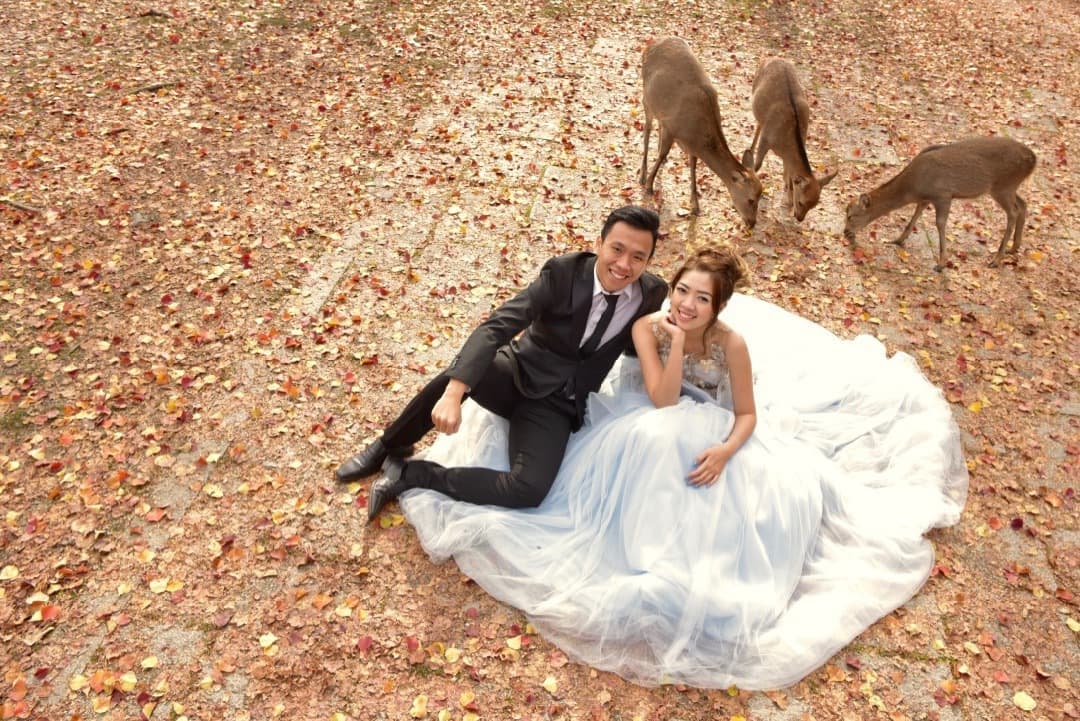 鹿とドレスの結婚写真
