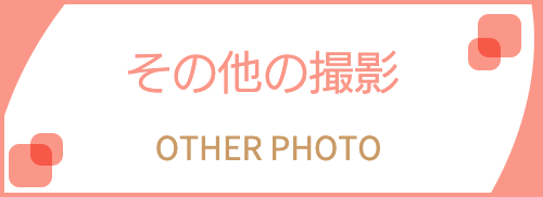 記念写真の案内