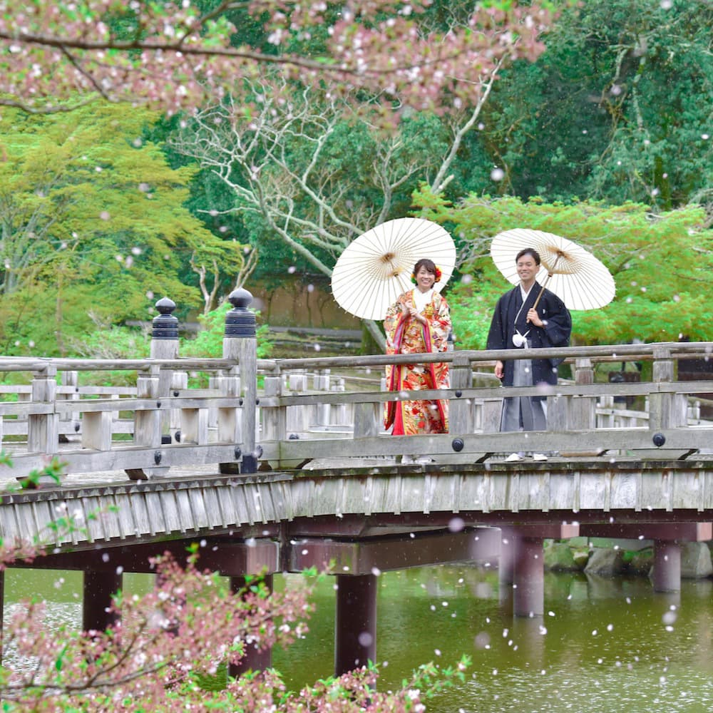 色打掛を着た花嫁様と紋付羽織袴を着た新郎様が橋の上で桜吹雪を見ている