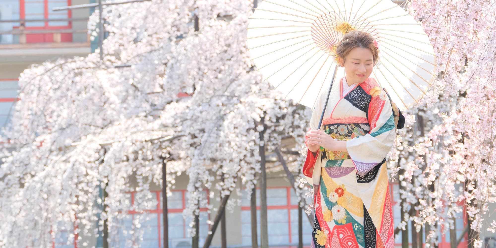 成人式桜の下で成人式の着物を着て和傘をさしている女性