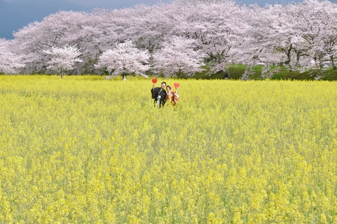 洋髪の髪型で色打掛けで前撮りの写真