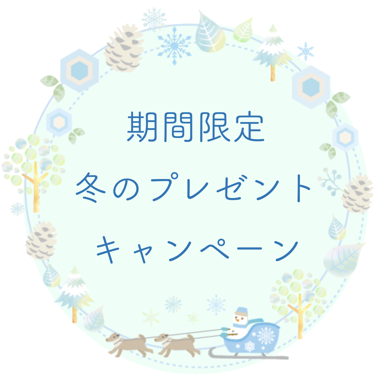 キャンペーン案内