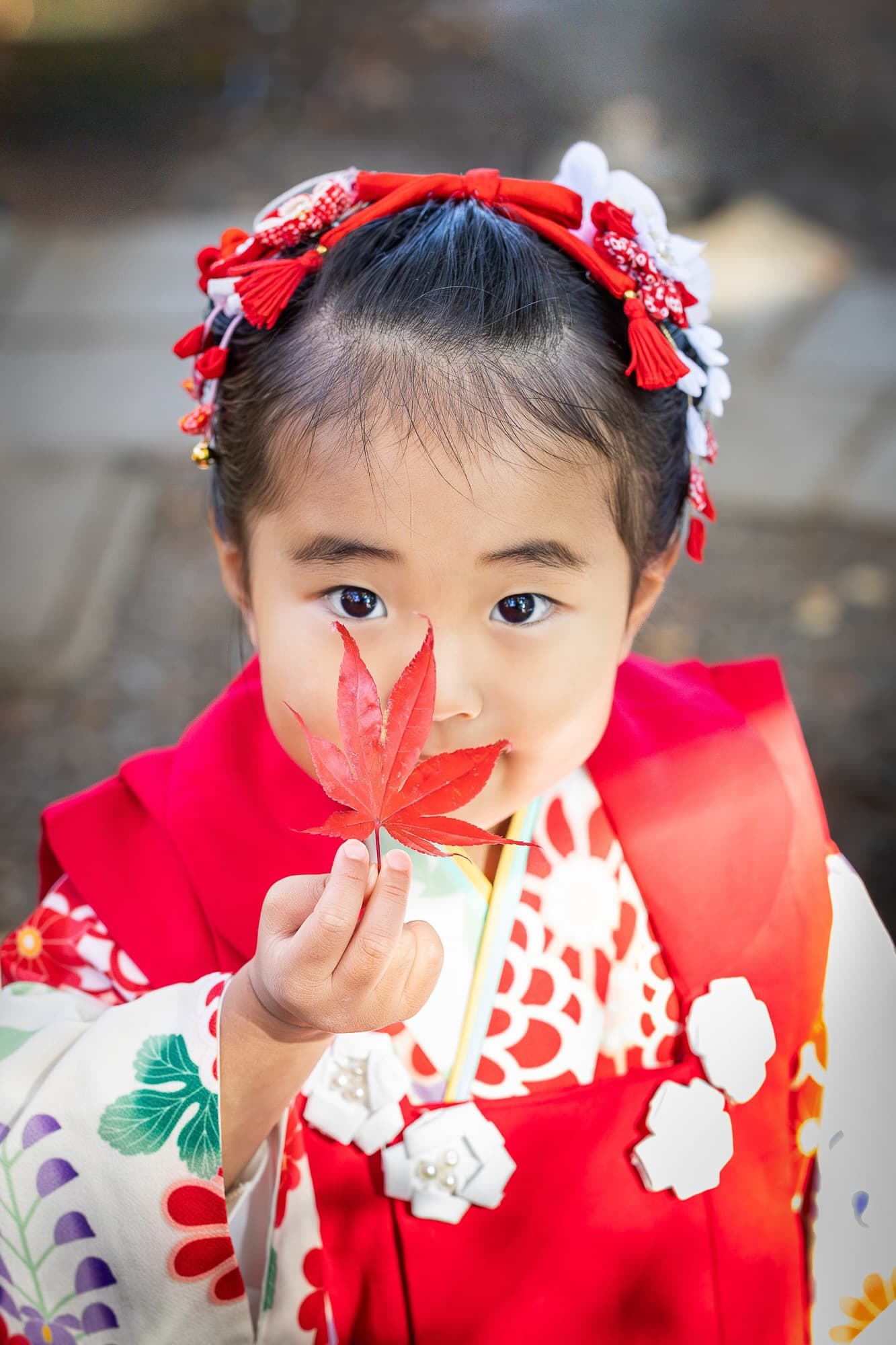 七五三の子供とお宮参りの赤ちゃん