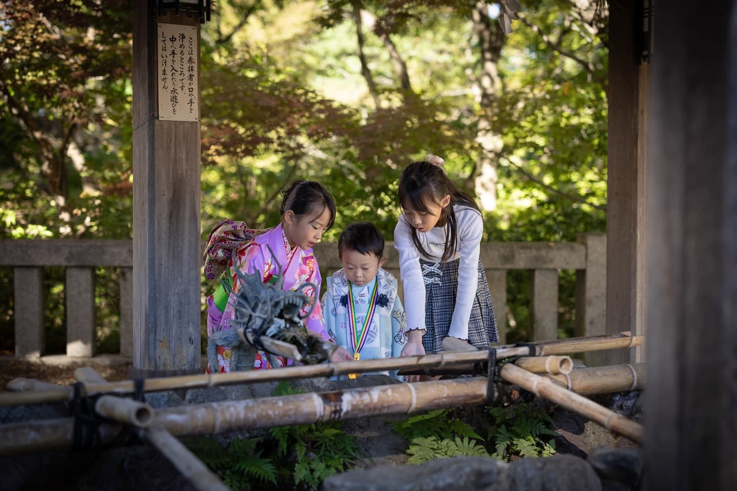 七五三の子供とお宮参りの赤ちゃん