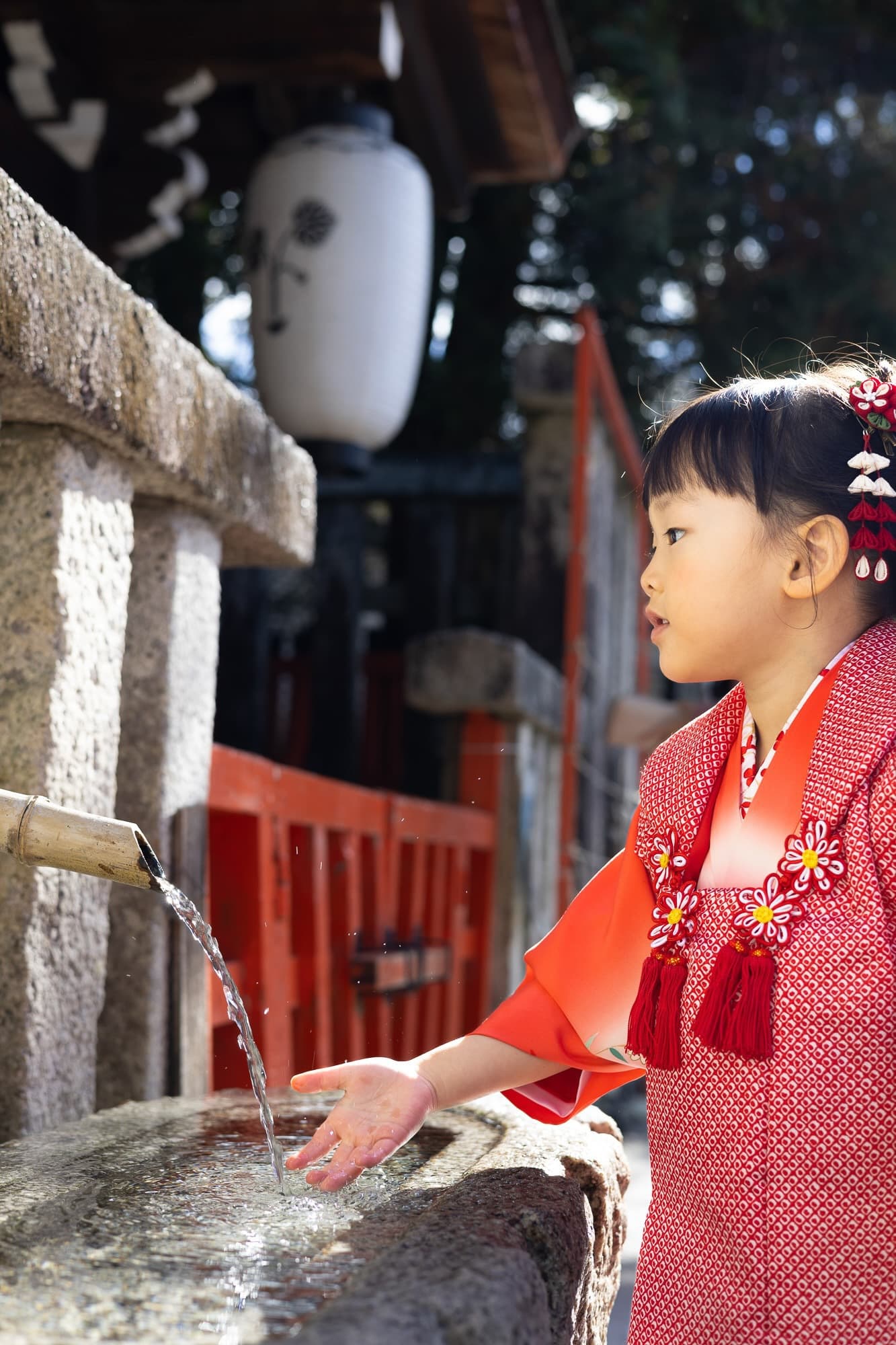 七五三の子供とお宮参りの赤ちゃん
