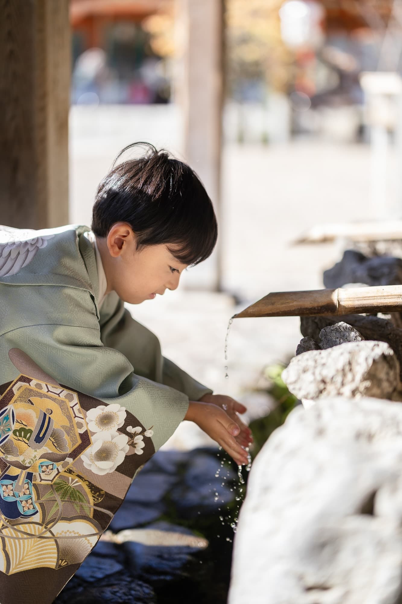 七五三の子供とお宮参りの赤ちゃん