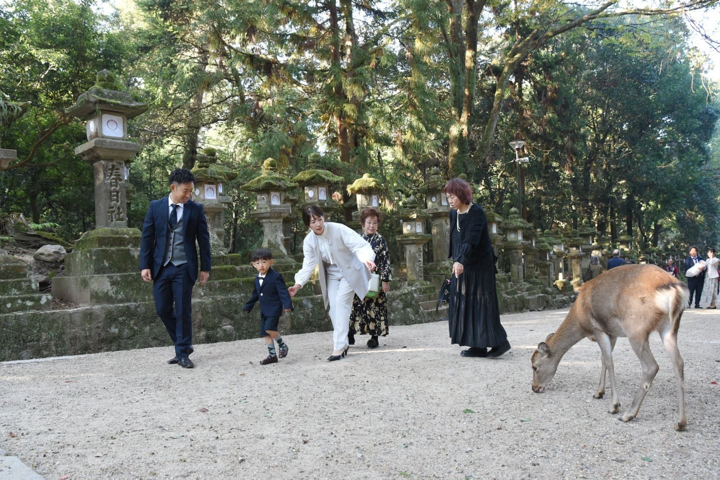 お宮参りや七五三の子供の写真