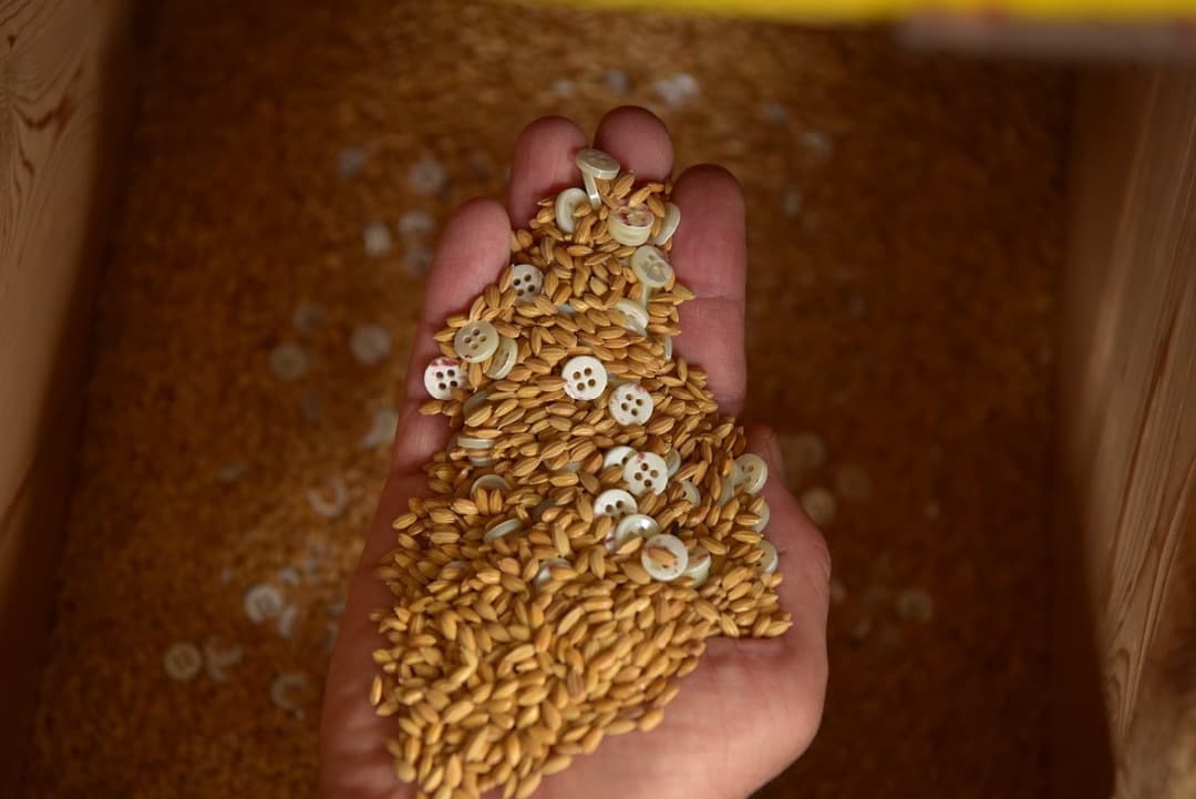 河西町貝ボタン