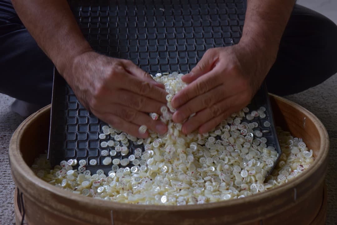 河西町貝ボタン