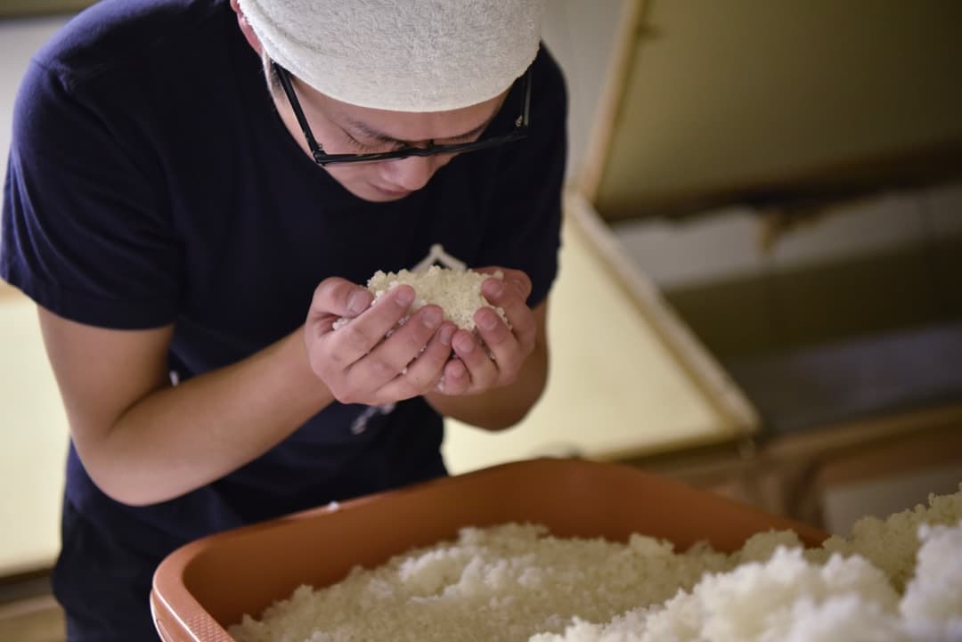 三諸杉、今西酒造のパンフレット、ホームページ用写真