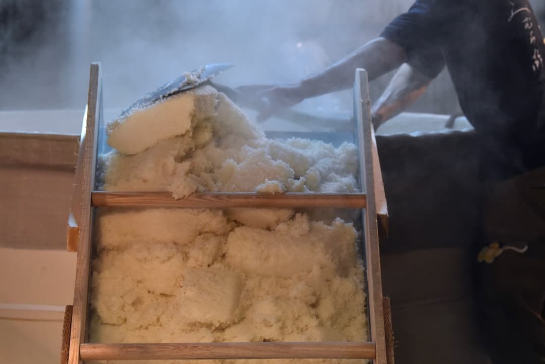 三諸杉、今西酒造のパンフレット、ホームページ用写真