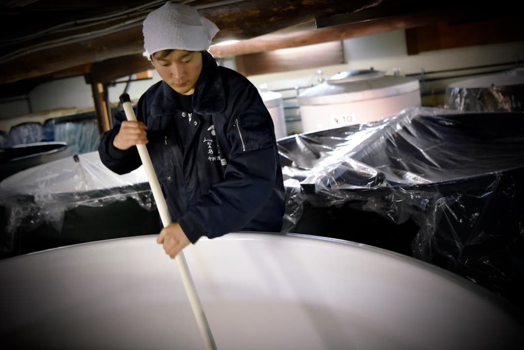 三諸杉、今西酒造のパンフレット、ホームページ用写真