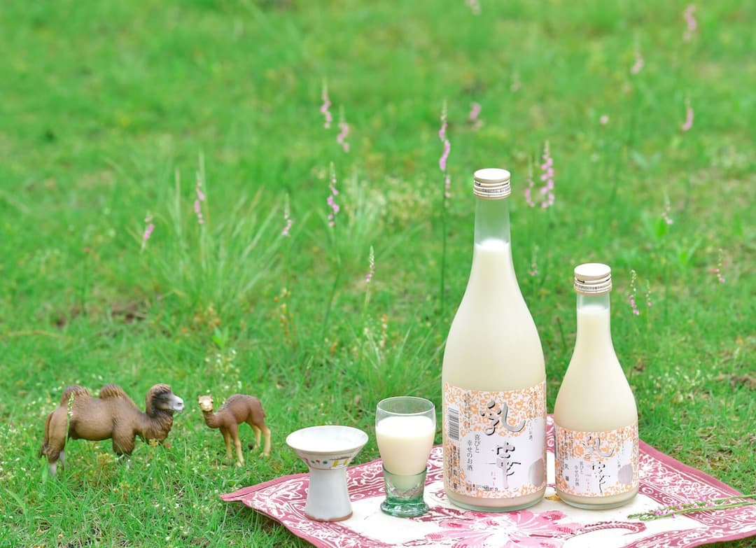 広告用の商品写真