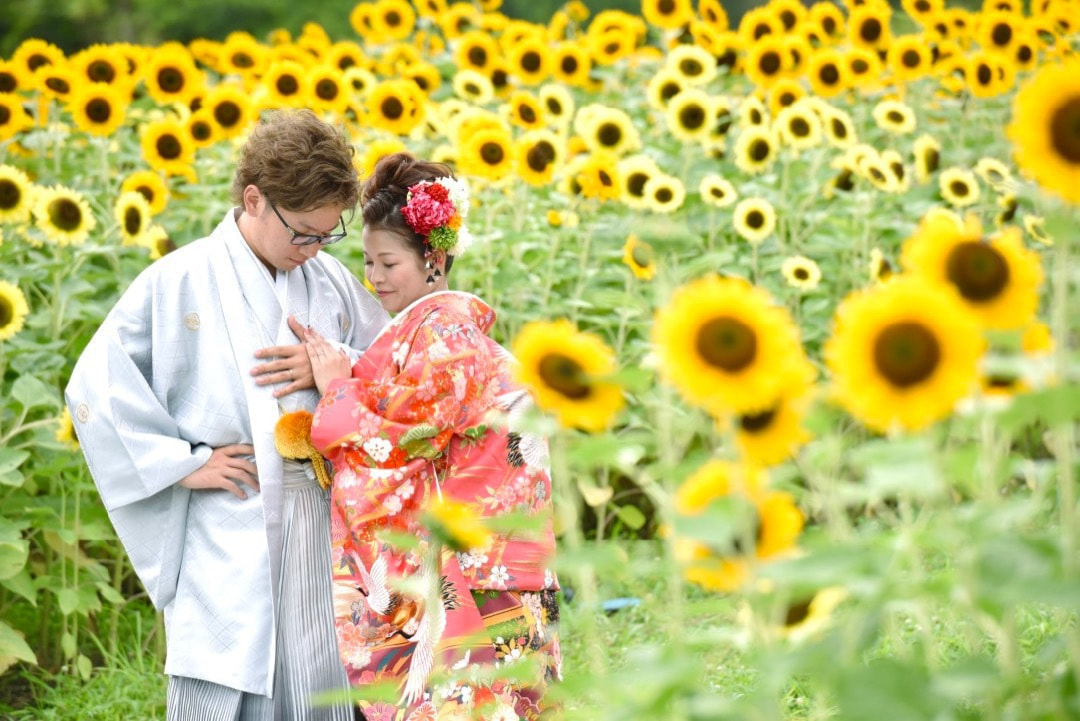 和装でフォトウェディングを公園やひまわり畑、菜の花畑や桜でのロケーション写真