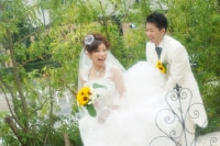 フォトウェディングの写真