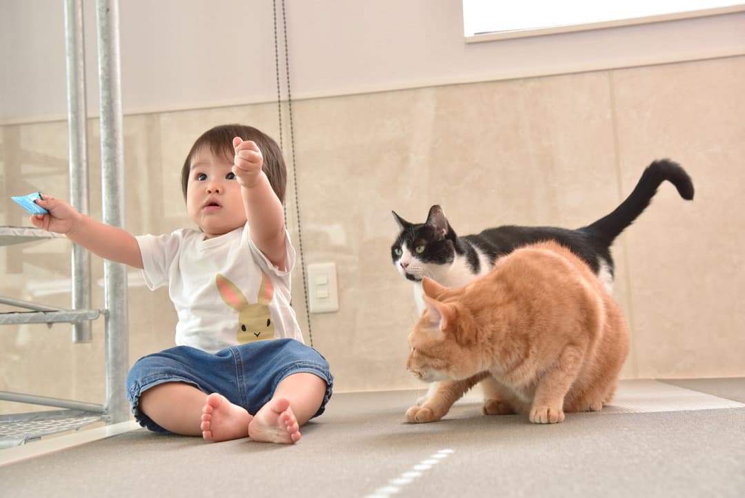 大阪や奈良で家族写真