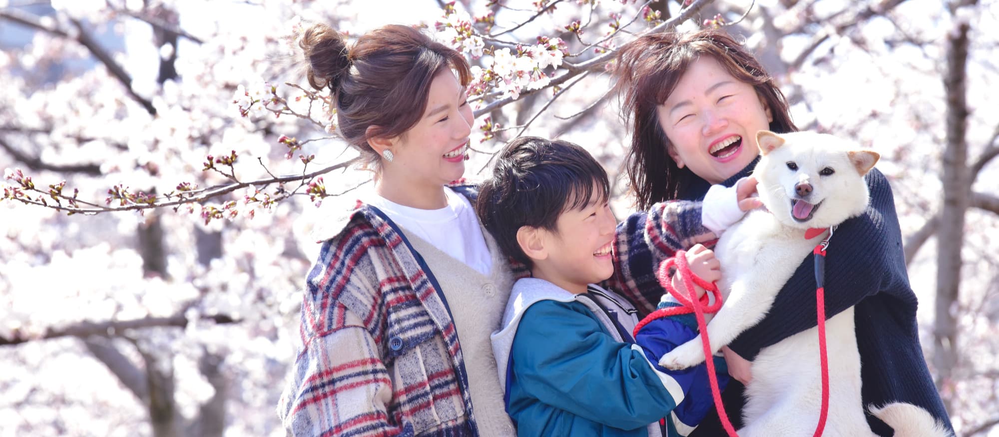 お父さんとお母さんと子どもの写真