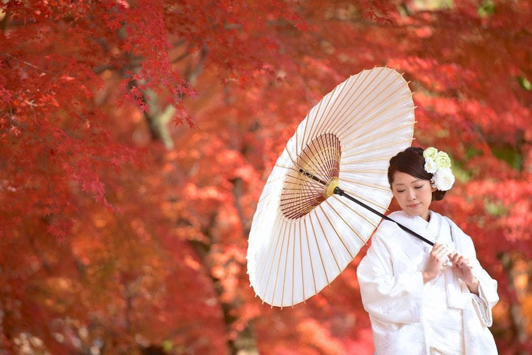 前撮りの和傘