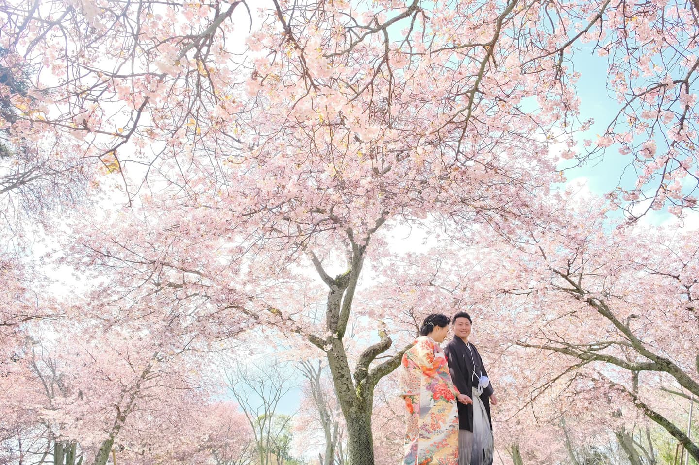 京都で白無垢前撮りの写真