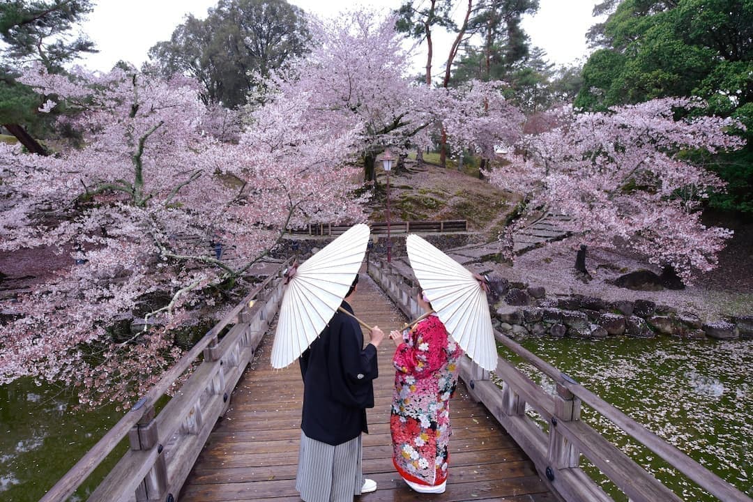 前撮りが雨の時の写真