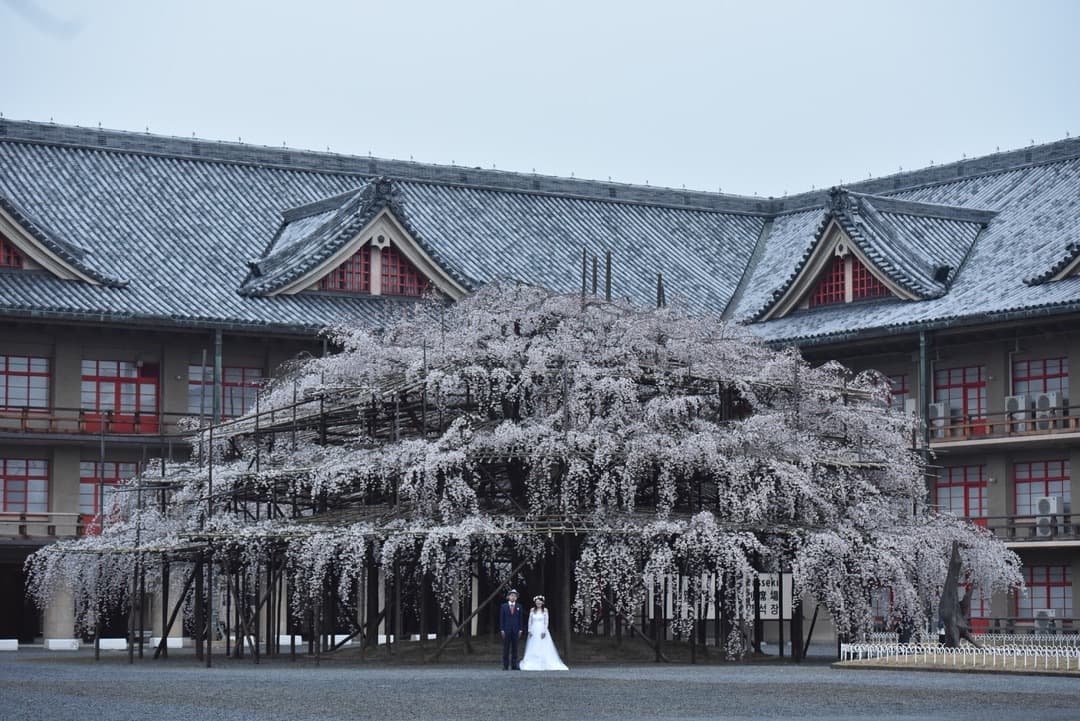 京都以外で人気の前撮り写真