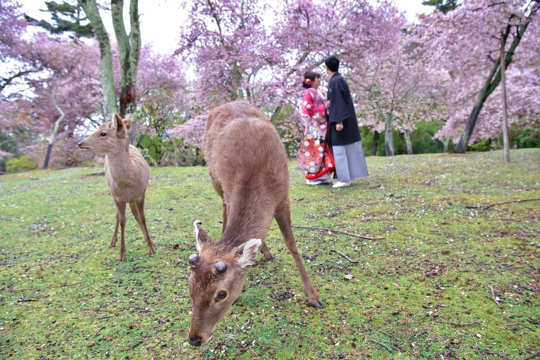 雨の日の前撮り撮影