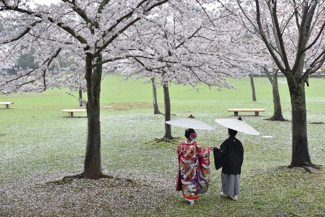 雨の日の前撮りの写真