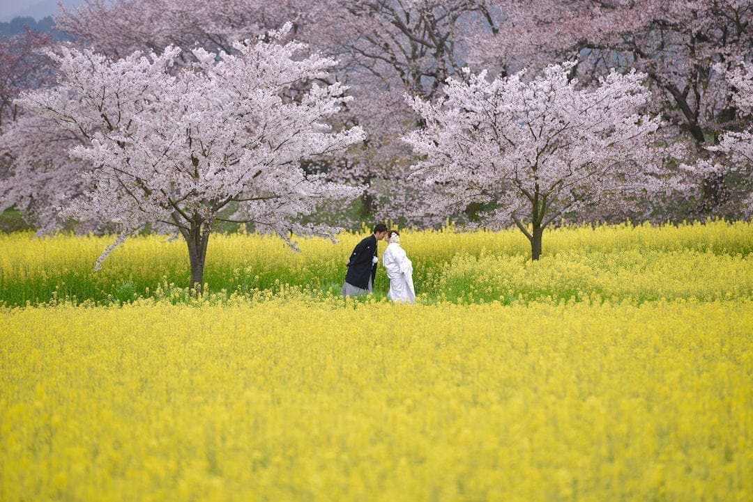 雨の日の前撮りの写真