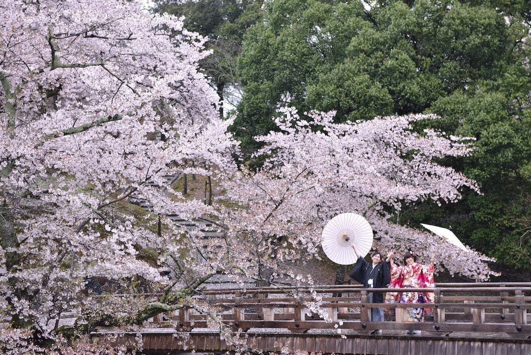 雨の日の前撮りの写真