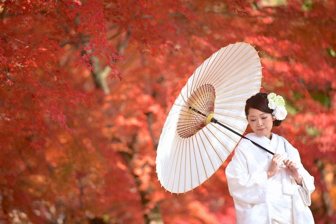 和傘と番傘｜結婚式・前撮り・和装フォトウェディングならキキフォト