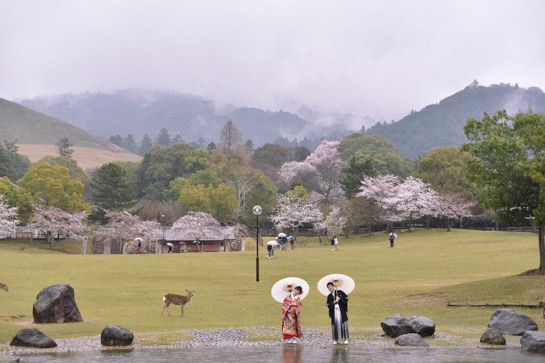 雨の前撮りと番傘の写真