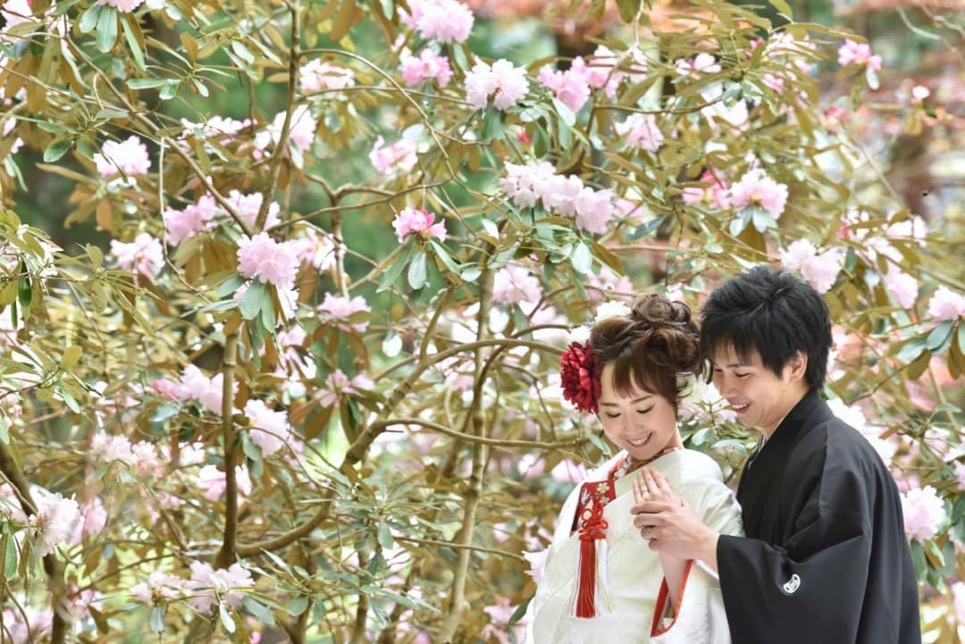 神社で結婚式の洋髪髪型ヘアスタイルの写真