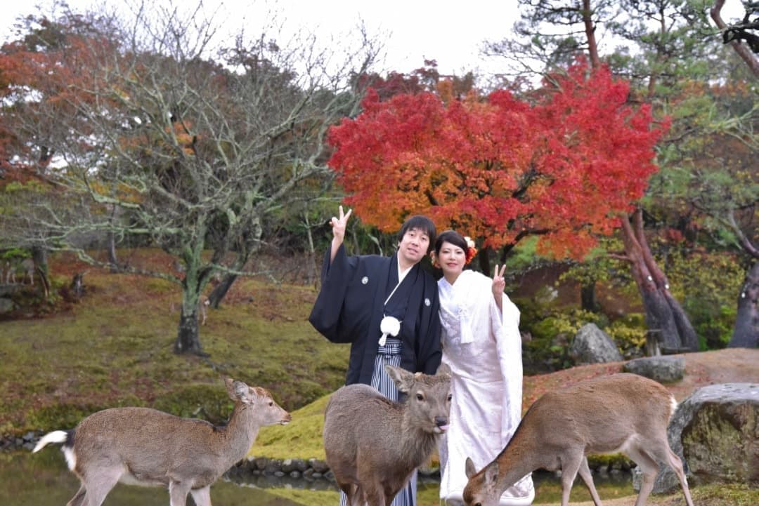 春日大社の結婚式の写真