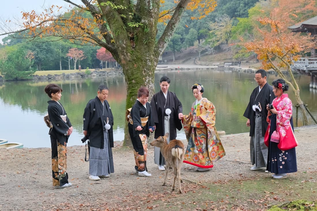 春日大社の結婚式の写真