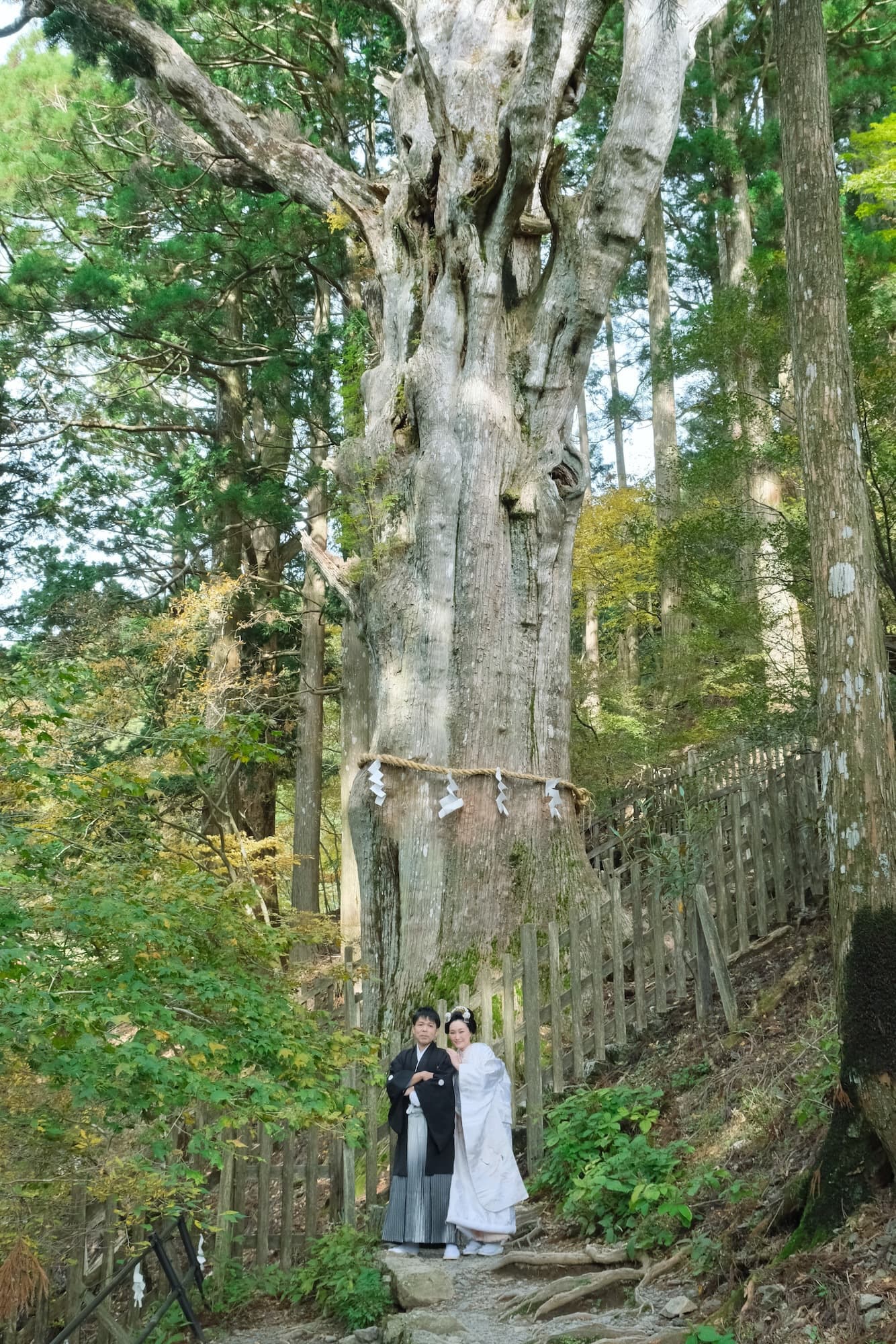 和装衣装で玉置神社で結婚式の花嫁