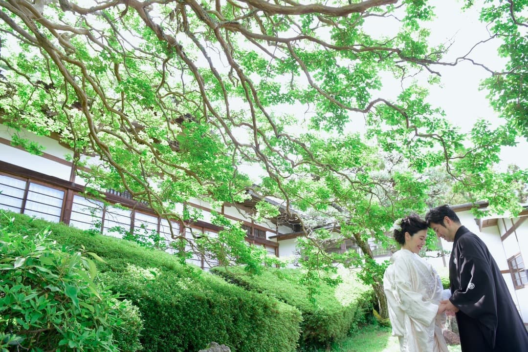 大神神社で白無垢の結婚式写真