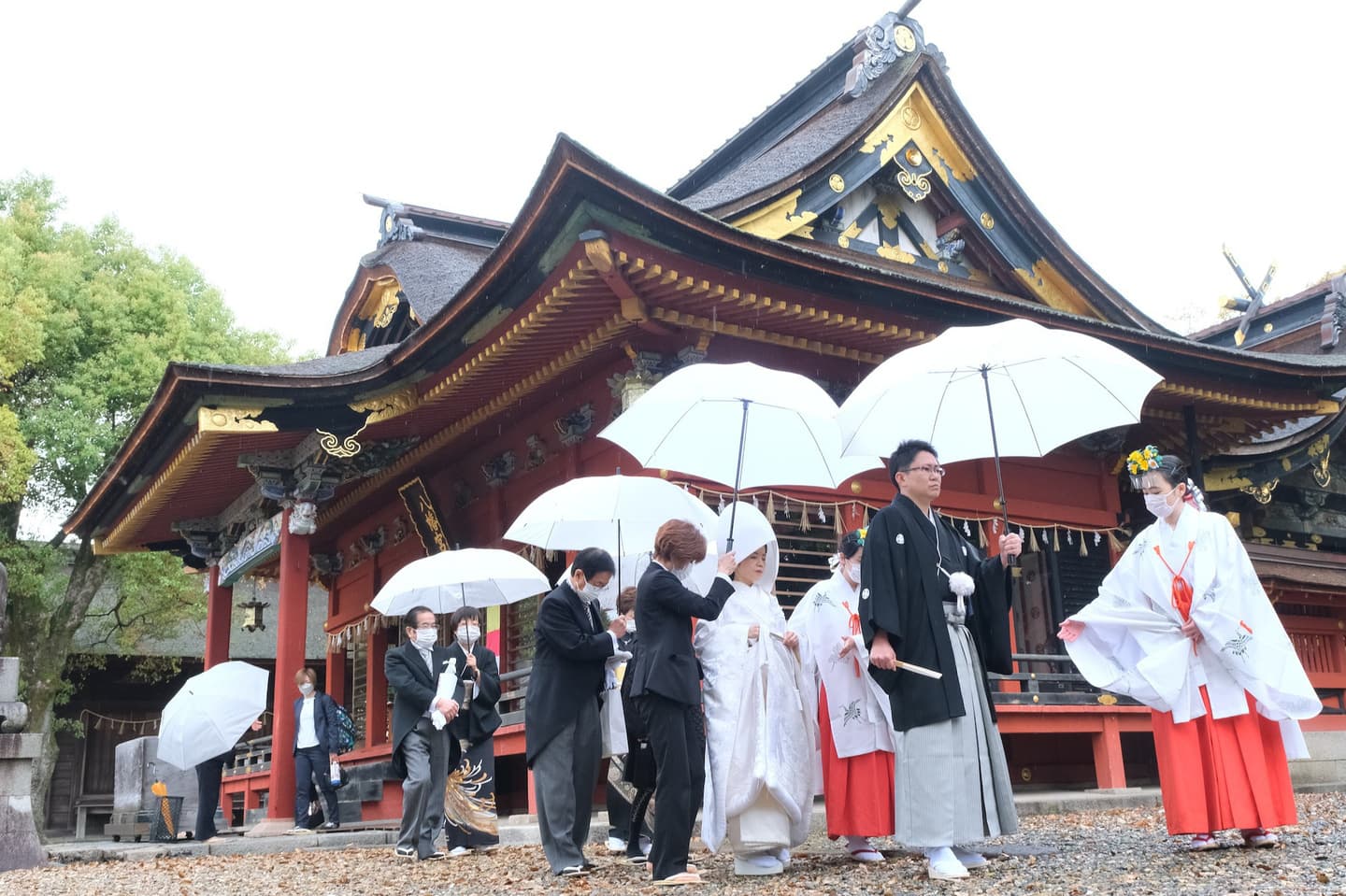 伊賀八幡宮で結婚式の新郎と綿帽子の花嫁