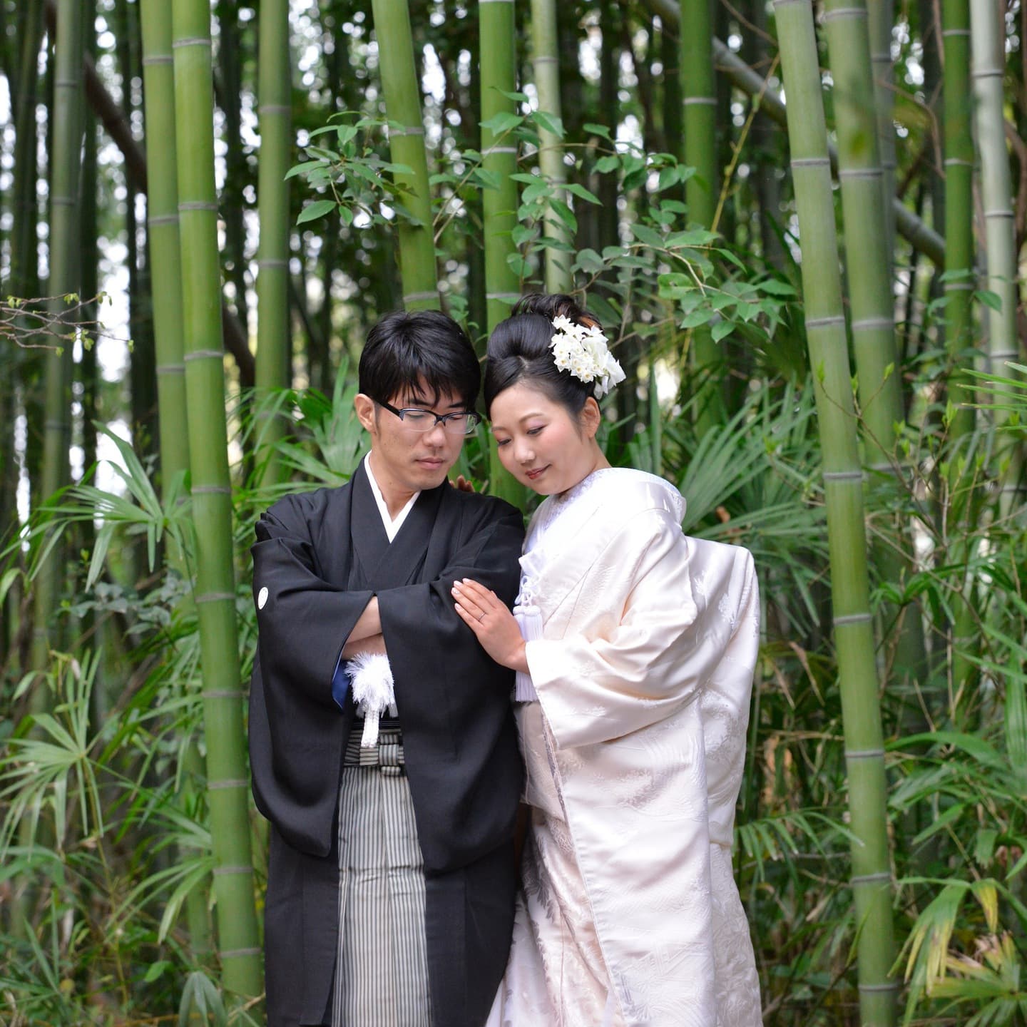 春日神社で結婚式の新郎と綿帽子の花嫁