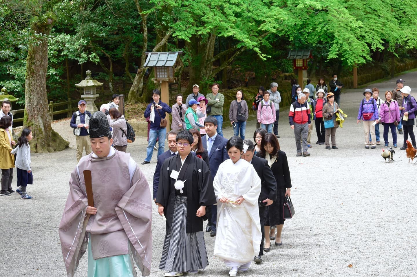 和装衣装で石上神宮で結婚式の写真