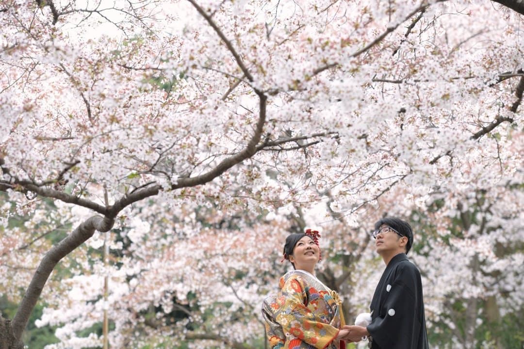 神社で神前結婚式やお寺で和婚の新郎新婦の写真