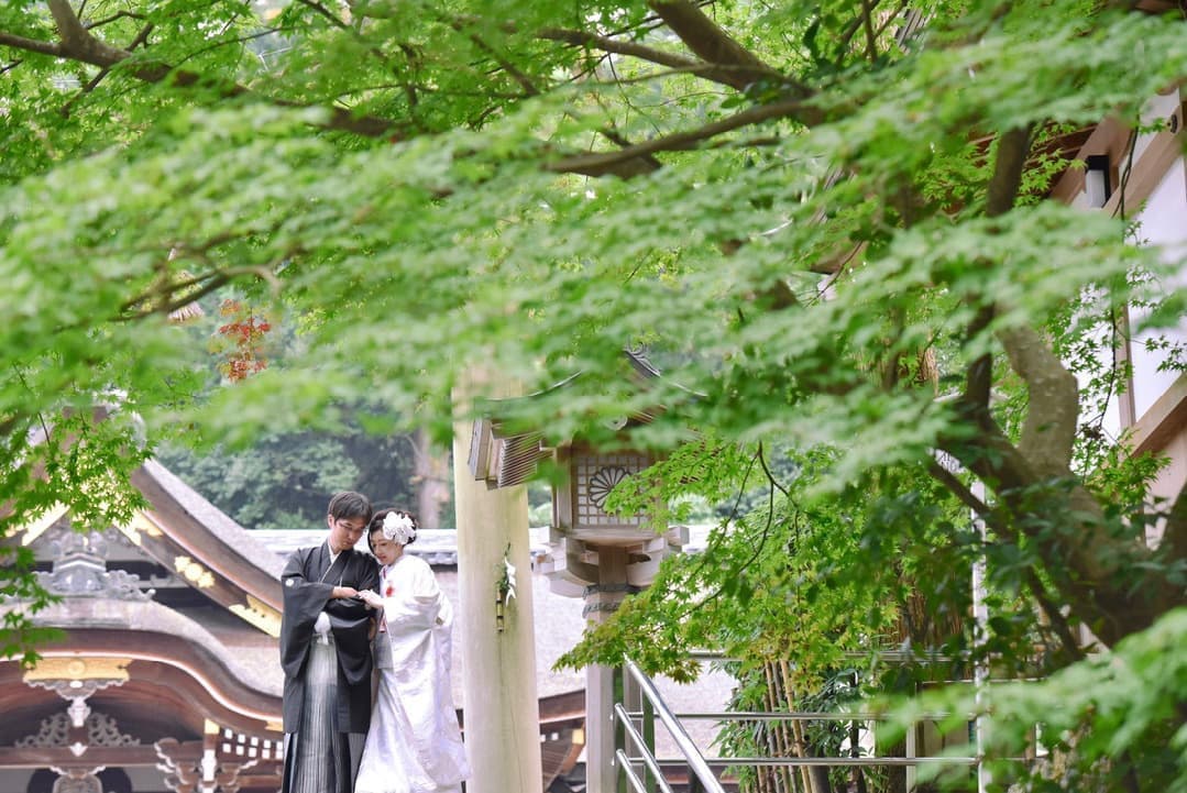 大神神社で白無垢綿帽子で結婚式の写真