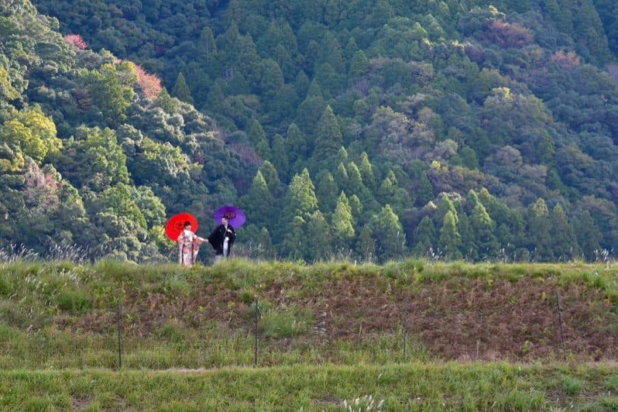 熊野本宮大社の結婚式の白無垢綿帽子