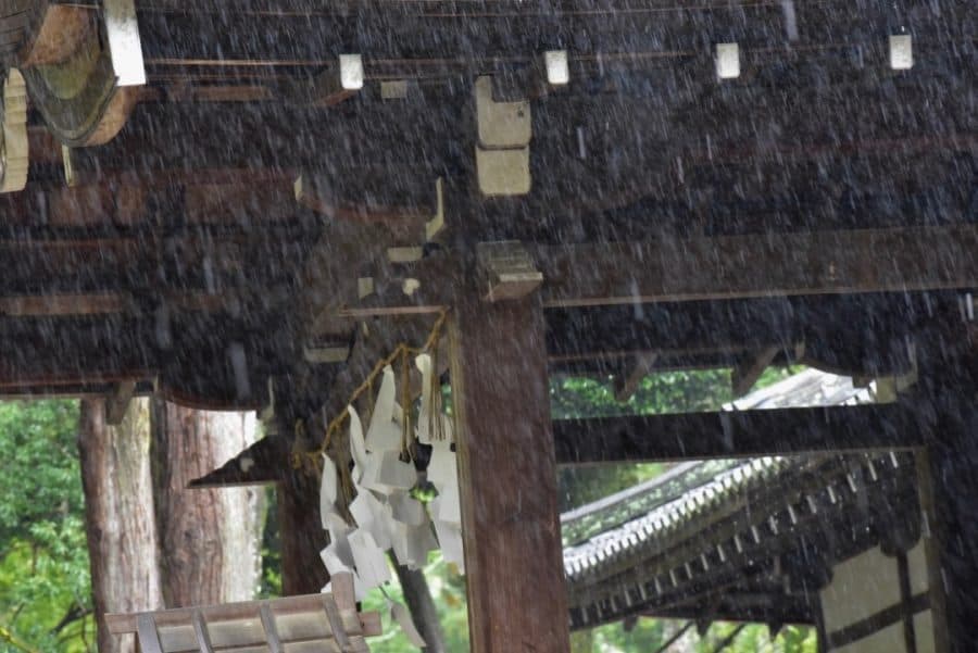 神社で結婚式の花嫁