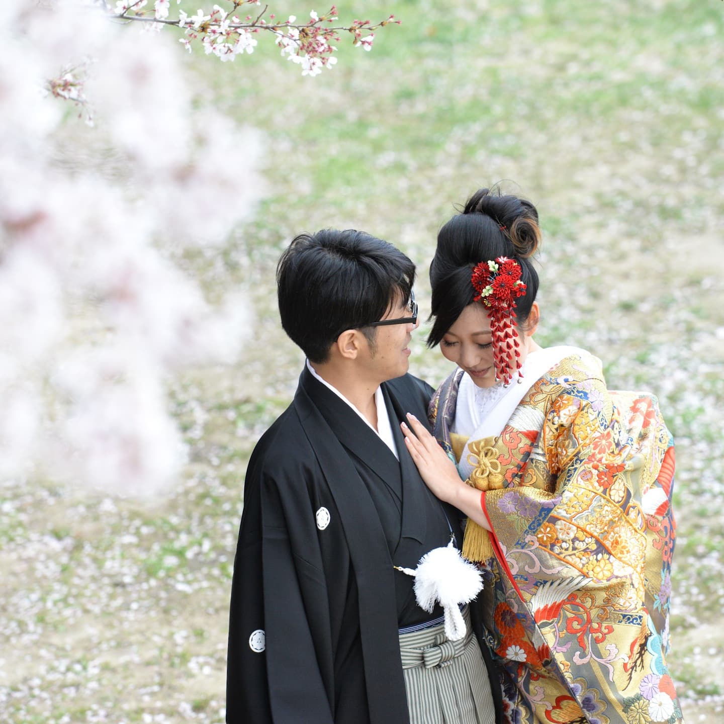 春日神社で結婚式の新郎と綿帽子の花嫁