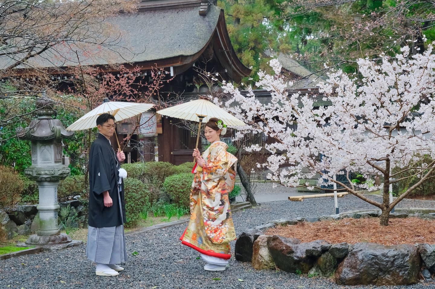 和装衣装で建部大社で結婚式の写真