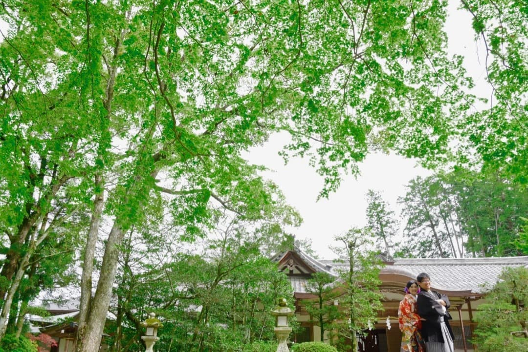 石上神宮の結婚式の写真